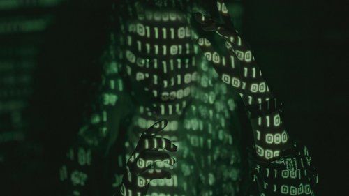 Informes de huella digital